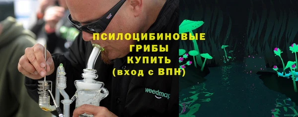ПСИЛОЦИБИНОВЫЕ ГРИБЫ Алексин