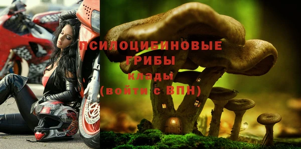 ПСИЛОЦИБИНОВЫЕ ГРИБЫ Алексин