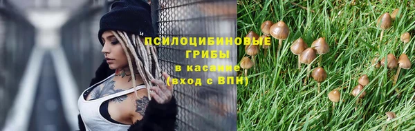 первитин Алексеевка